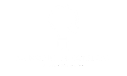 SA Borne Electrical Logo